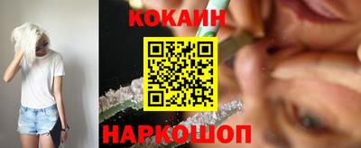 крисы Новодвинск