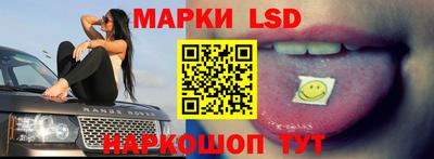 прущие грибы Нальчик