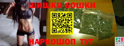 прущие грибы Нальчик