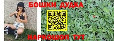 прущие грибы Нальчик
