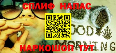 крисы Новодвинск