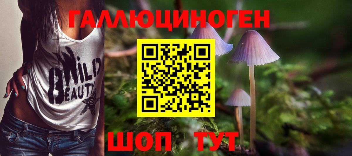 хочу   Галлюциногенные грибы ЛСД  Вход с VPN  Торжок 